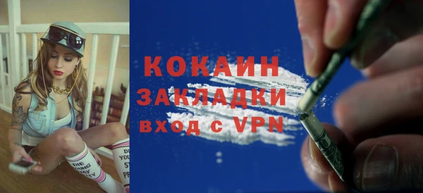 хмурый Ладушкин