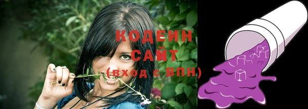 хмурый Ладушкин