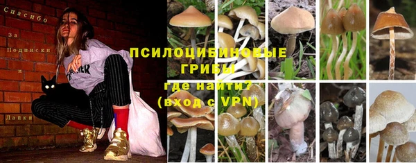 хмурый Ладушкин