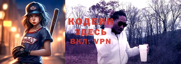 хмурый Ладушкин