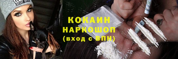 хмурый Ладушкин