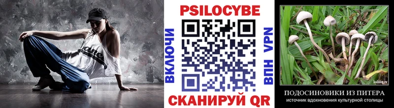 Купить где  Ковдор  Галлюциногенные грибы мухоморы 